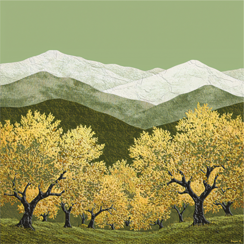 Young Olive Grove, Olive and Gold Collection 2025