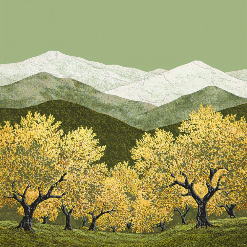 Young Olive Grove - Large, Olive and Gold Collection 2025