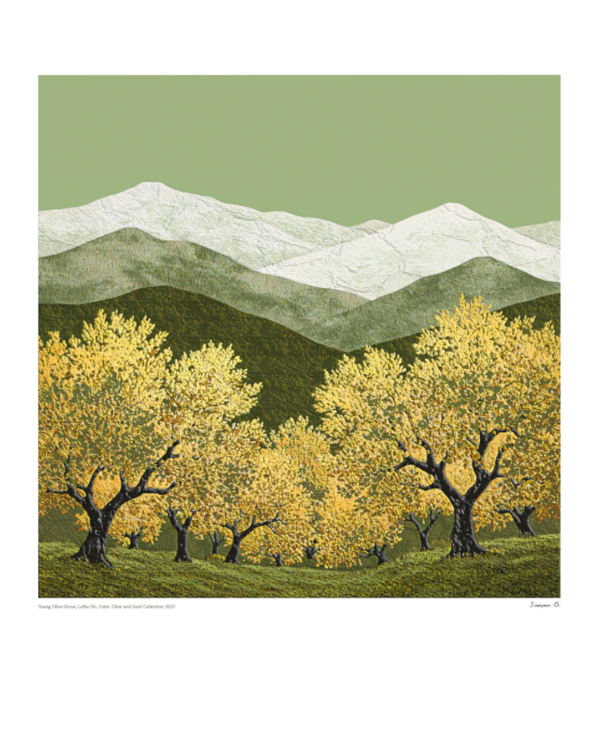 Young Olive Grove, Olive and Gold Collection 2025