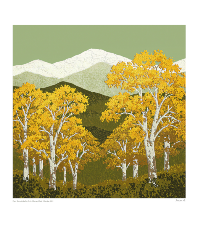 Plane Trees, Olive and Gold Collection 2025