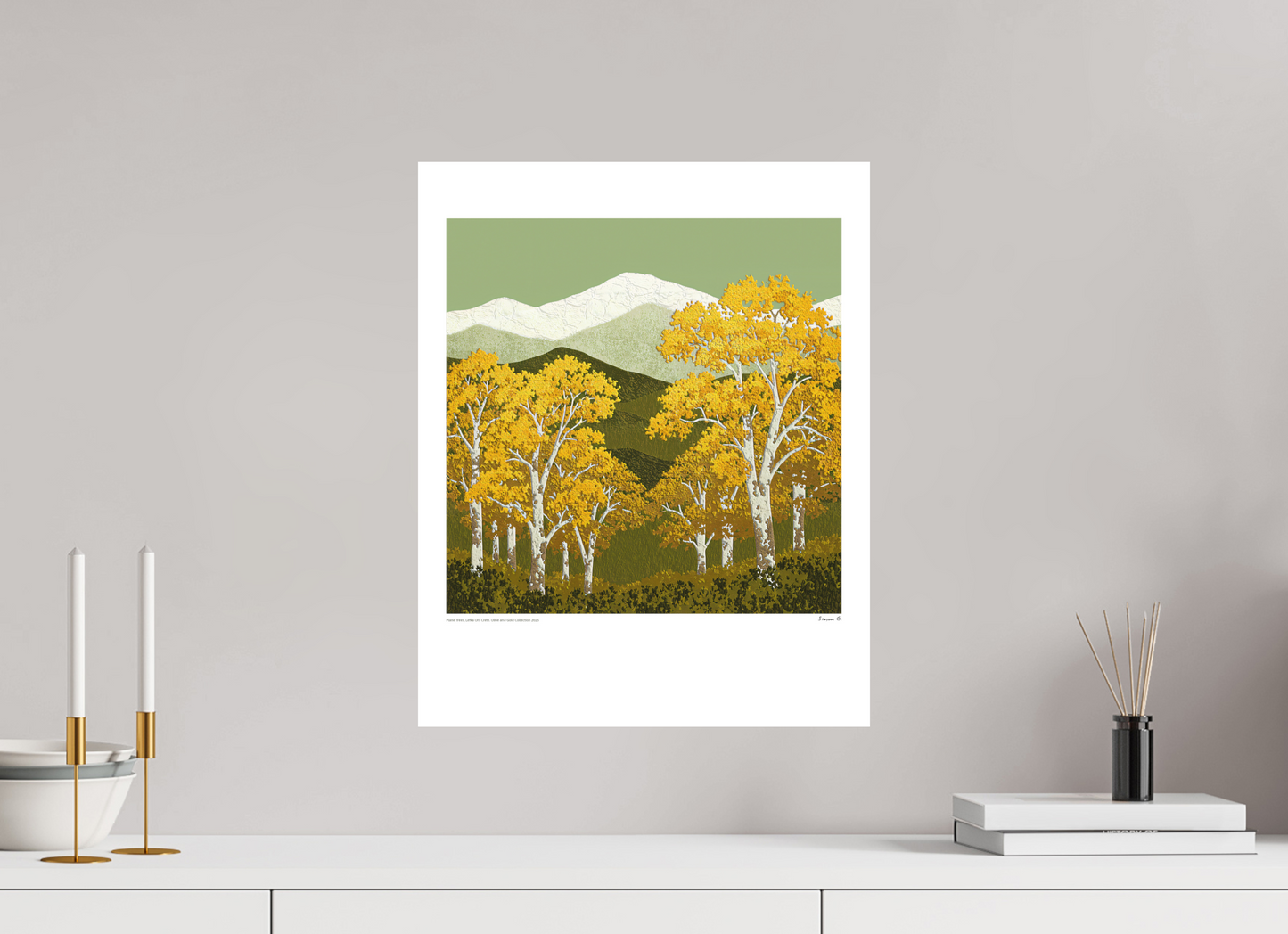 Plane Trees, Olive and Gold Collection 2025