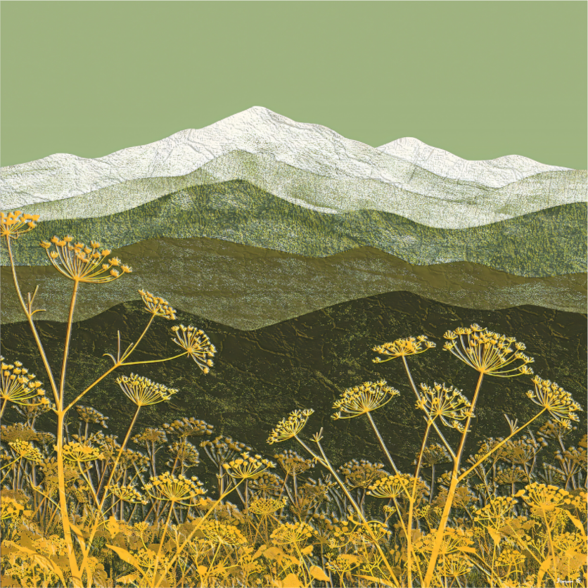 Wild Fennel, Olive and Gold Collection 2025