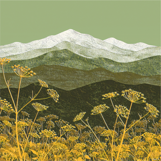 Wild Fennel, Olive and Gold Collection 2025