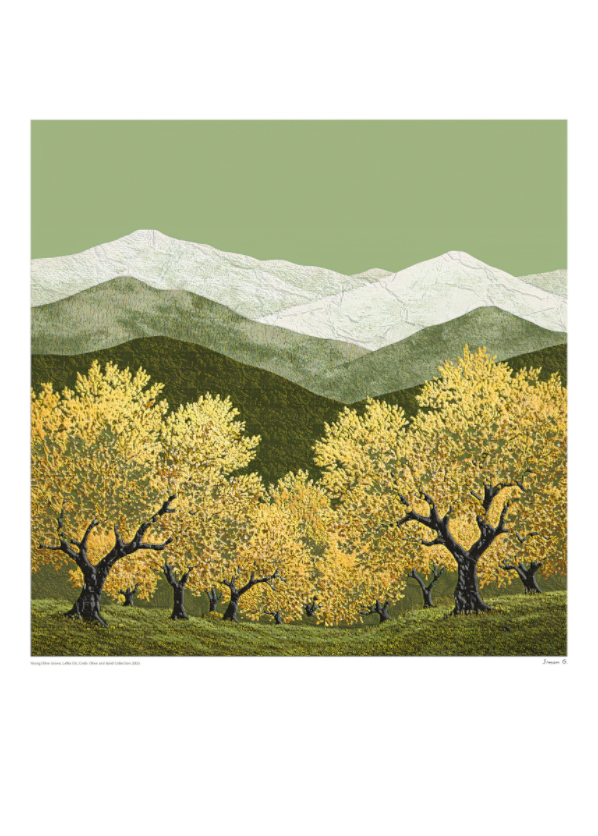 Young Olive Grove - Large, Olive and Gold Collection 2025