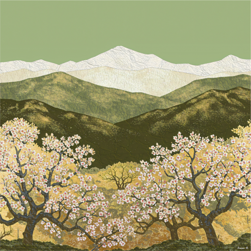 Blossom, Olive and Gold Collection 2025