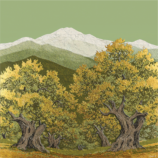 Ancient Olive Grove, Olive and Gold Collection 2025