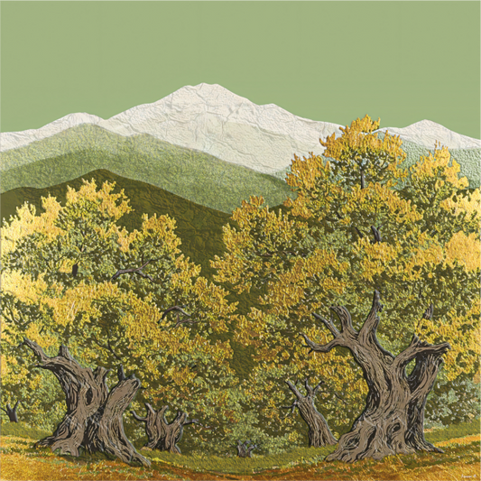 Ancient Olive Grove - Large, Olive and Gold Collection 2025